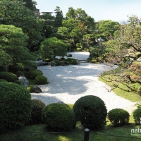 Japangarten_chion_03