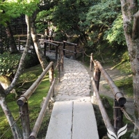 Japangarten_ginkaku_02