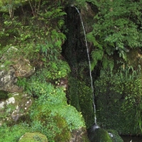 Japangarten_ginkaku_03