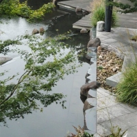 Japanischer Garten_umekijo_02