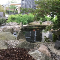 Garten und Landschaftsbau Bayreuth 1.JPG