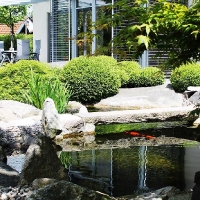 Japangarten mit Koiteich