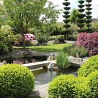Japangarten-Koiteich-Ppagoden