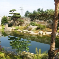 japanischer-teichgarten-bayreuth