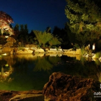 Gartenteich bei Nacht Oberfranken