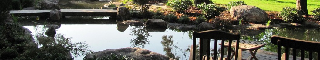 Teich Japangarten Koeln